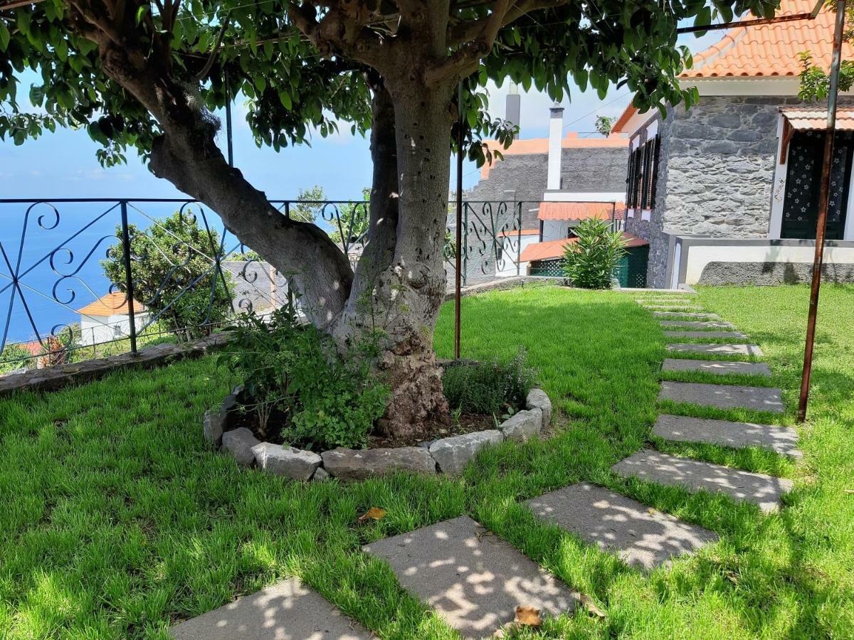 Hotel Casa Velha D Fernando E Casa Avo Augusta Ribeira Brava Zewnętrze zdjęcie